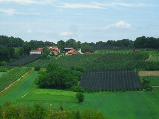 Pokrajina pri Kančevcih